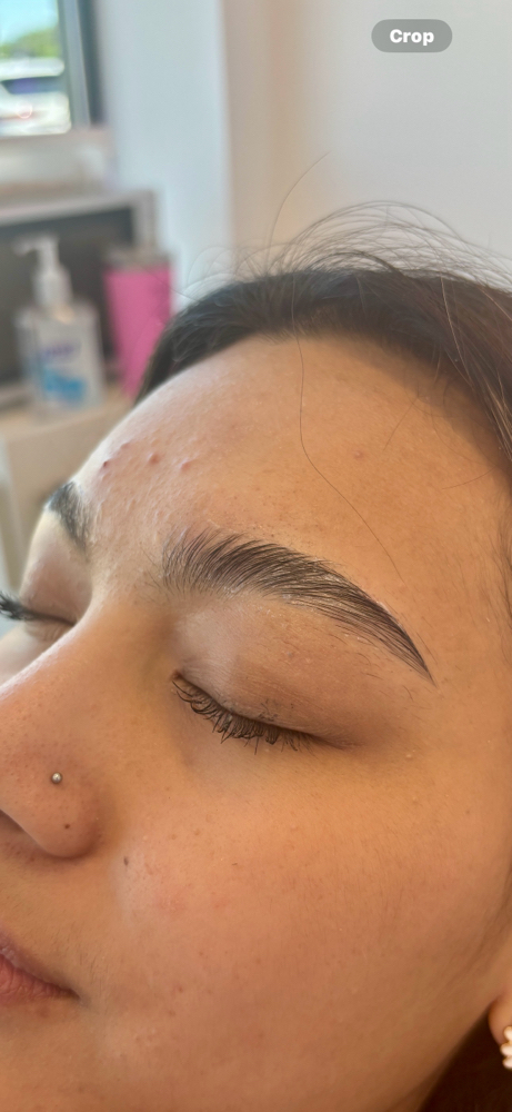 Stone Oak Brow Lamination