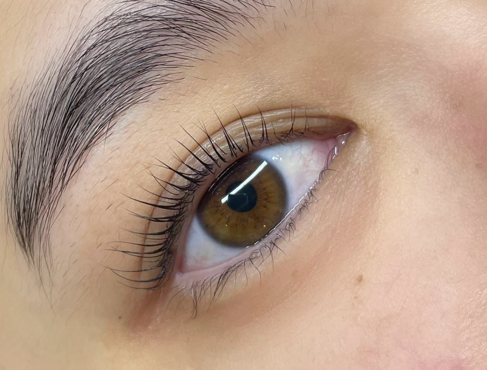 Lash Lift w/ Dove