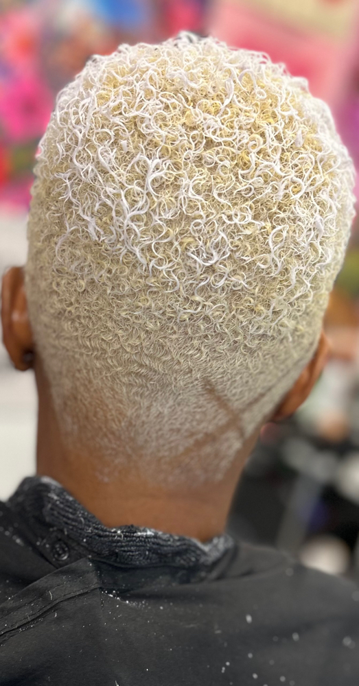 Bleach Out/ Bleach Root Touch Up