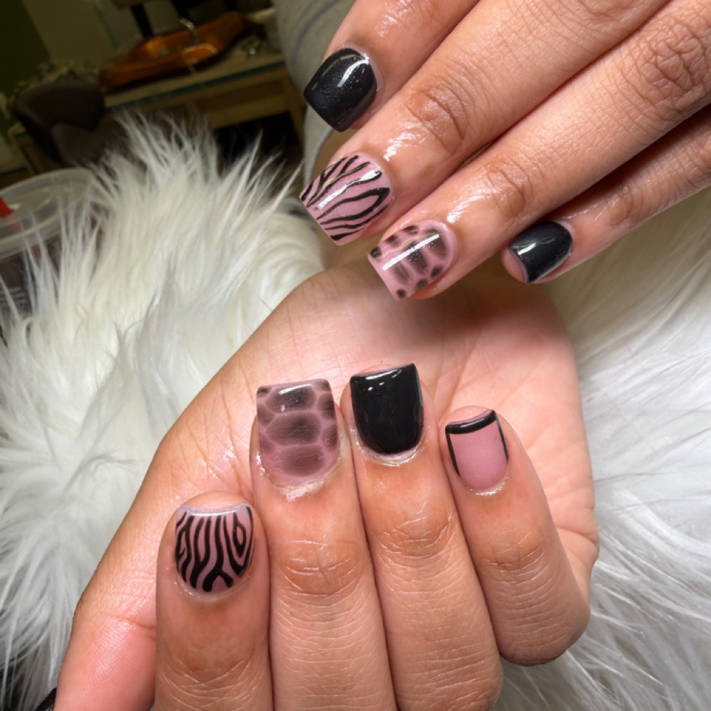 BTS Special at Jazmine Rochelle in Canton, OH