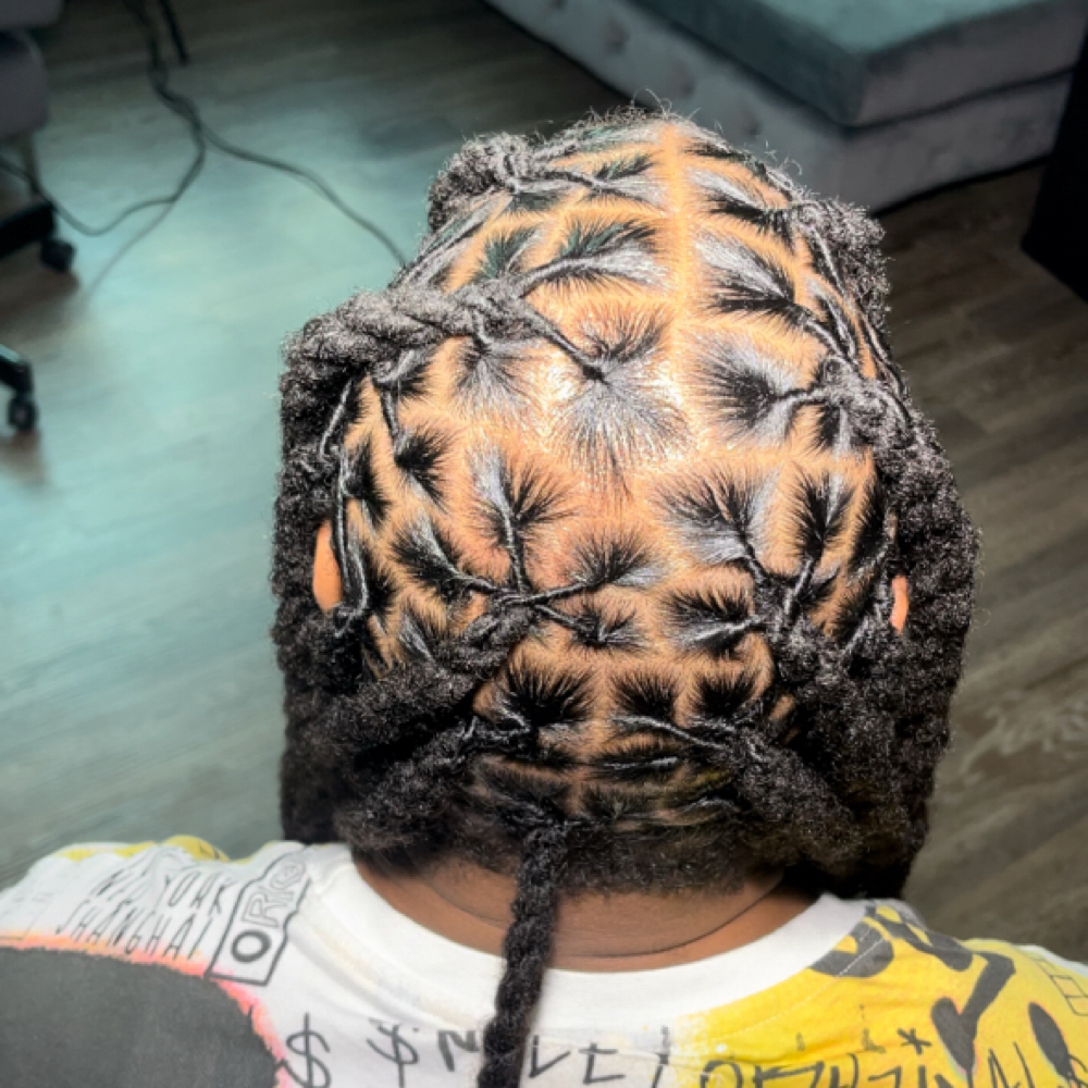 $100 LOC RETWIST & STYLE at House Of AKIA LLC in Lithonia, GA