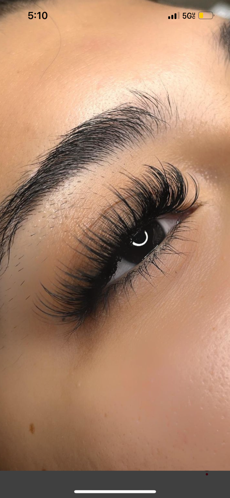 Volume Lashes