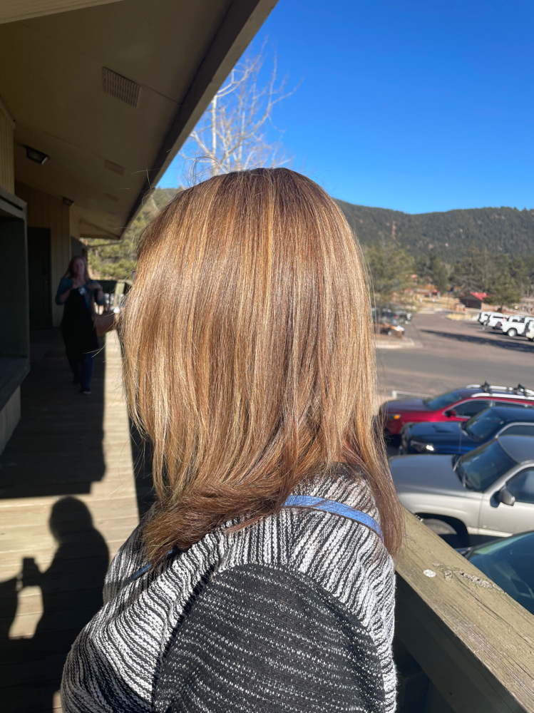Root Touch Up & Highlight (no Cut)