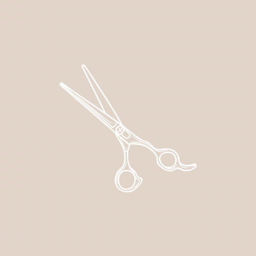 Men’s Haircut + Beard Detail
