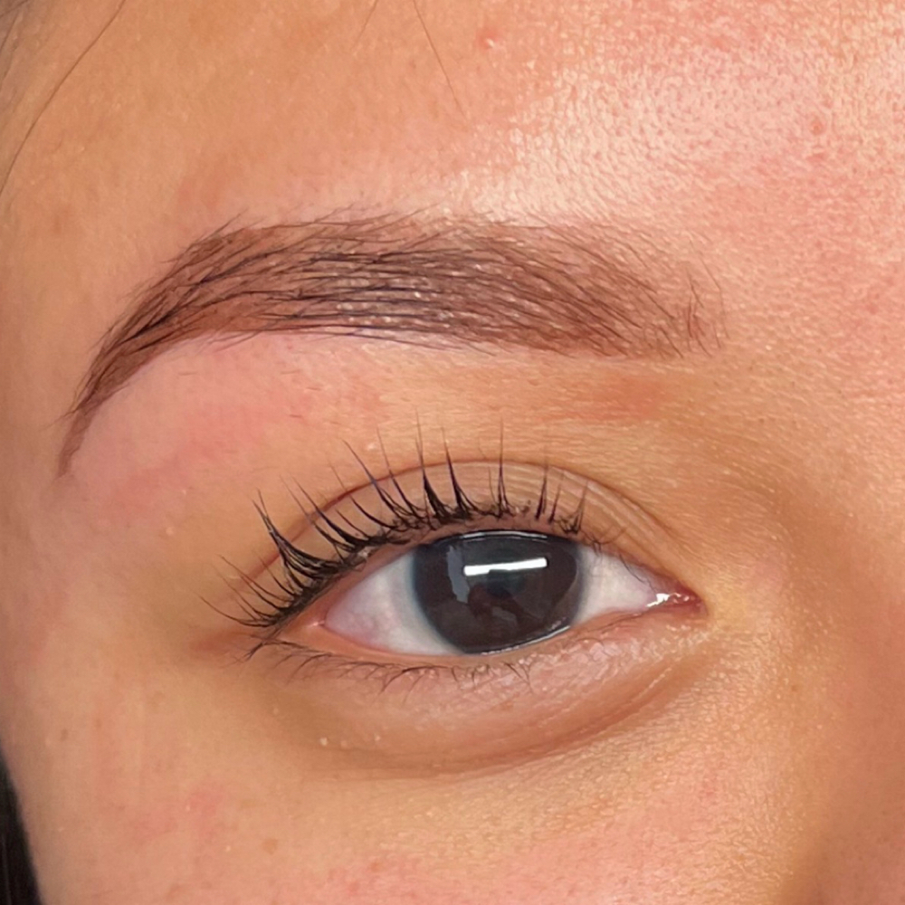 Brow Tint at Elysian  Escape in Selbyville, DE