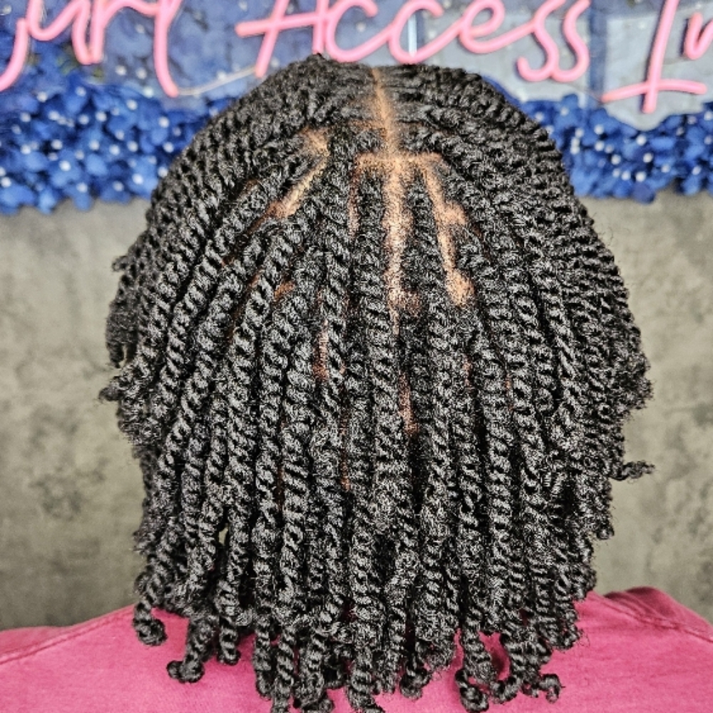 Mini Twist with Hydration Bundle at Curl Access Inc Salon in Snellville, GA