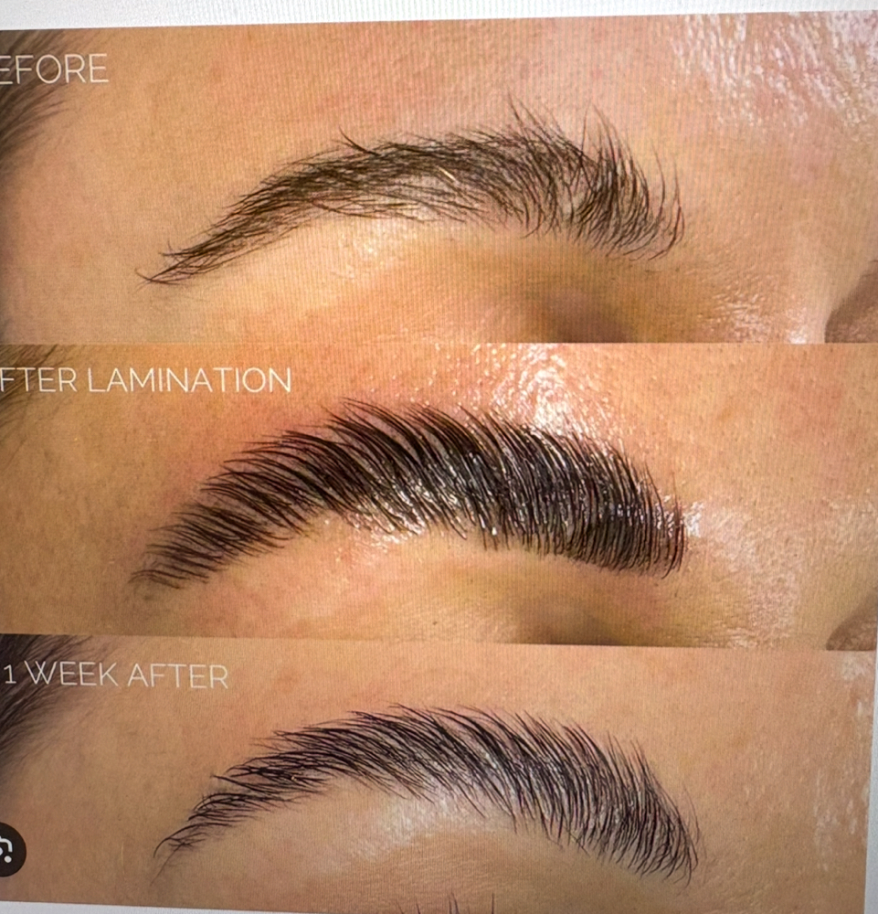 Brow And Lash Lamination - Tint