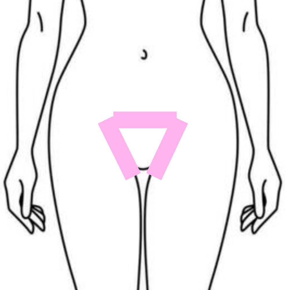 Female Bikini Full