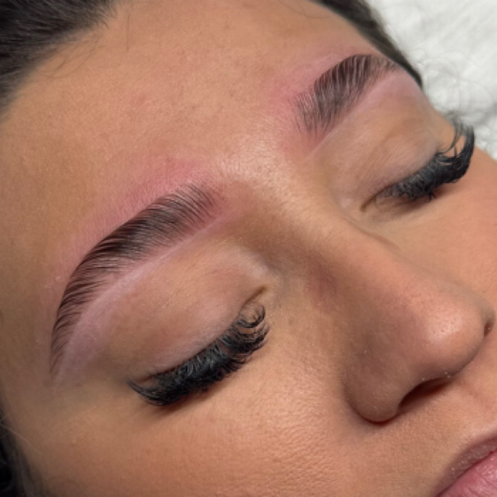 Brow Lamination at Lux Beauty Lounge in Alhambra, CA