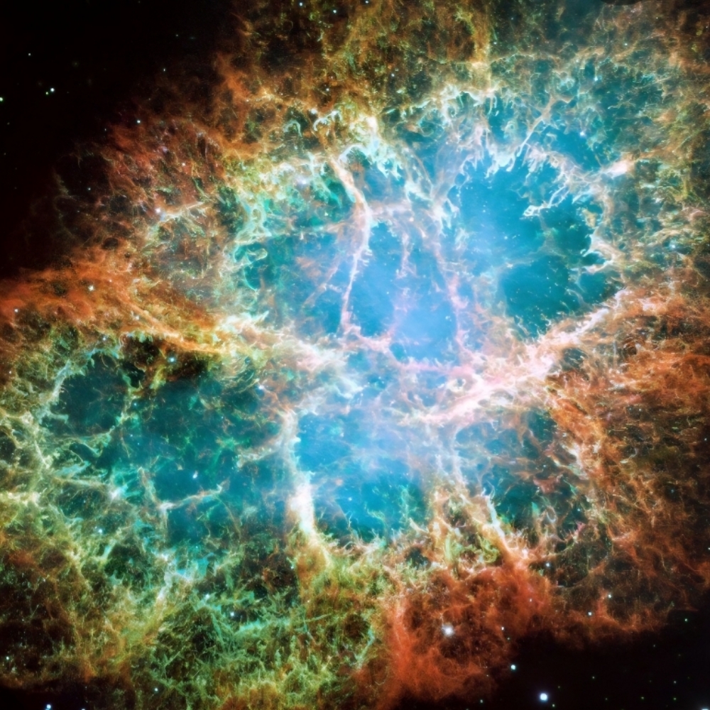 Lash Lift and Tint at Celestial Esthetics in Minden, NV