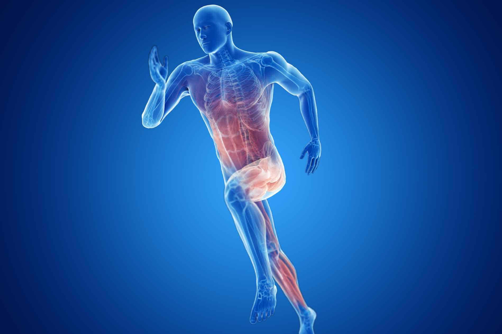 Sports Massage 60min