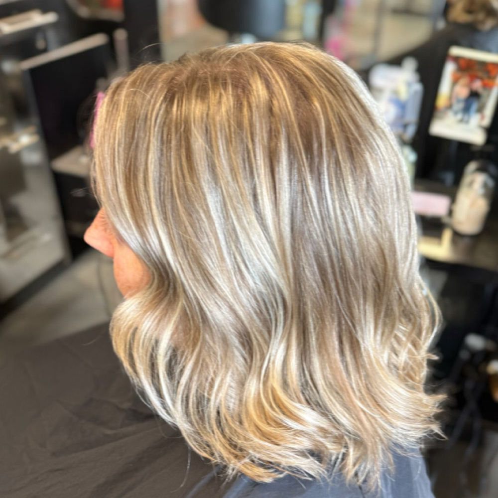Highlights & Haircut at Hair By Holly Pieper L.L.C in Ann Arbor, MI