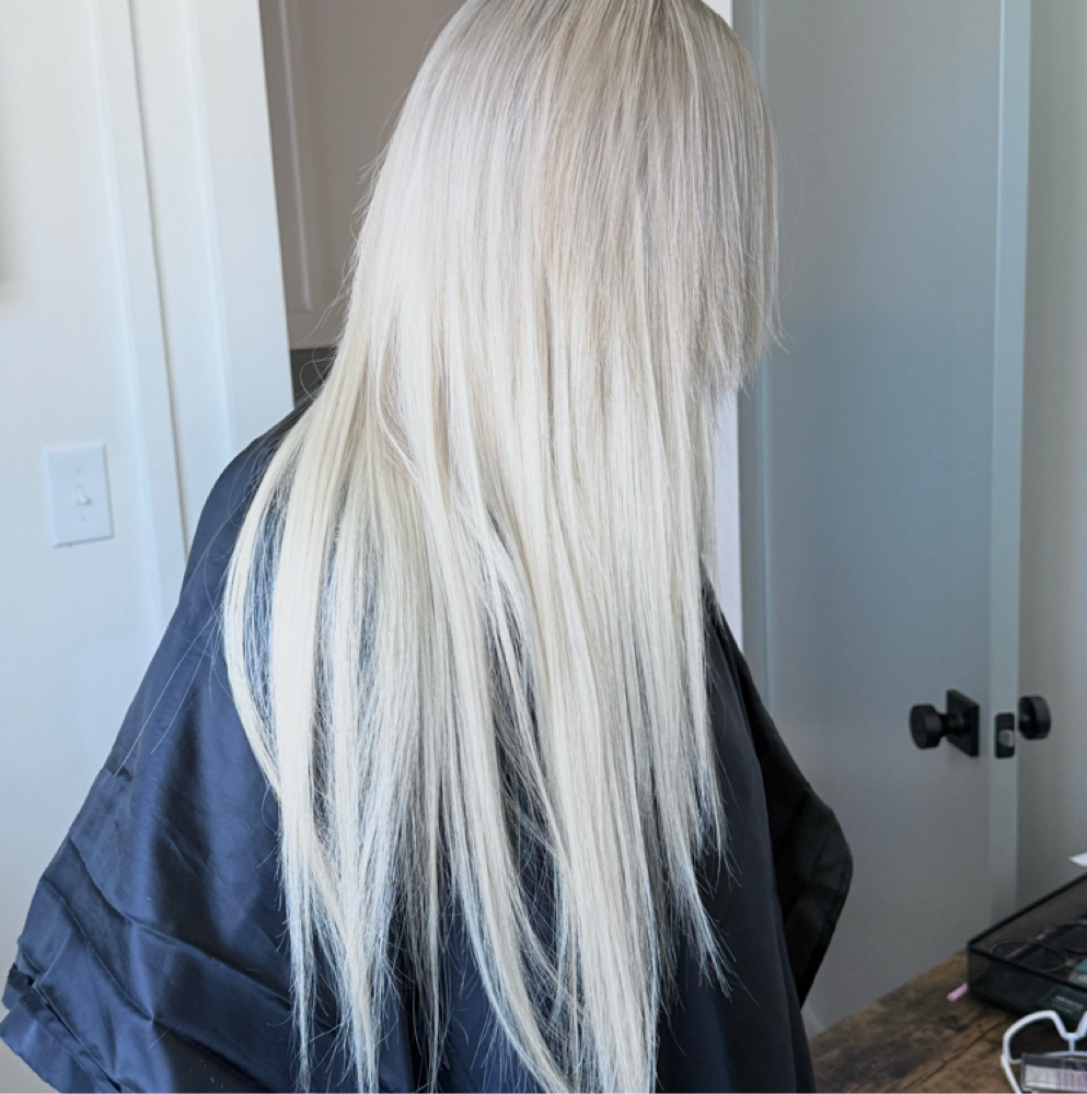 Bleach & Tone 6-8 Weeks at Hair by Morgan Jo in Greenville, TX