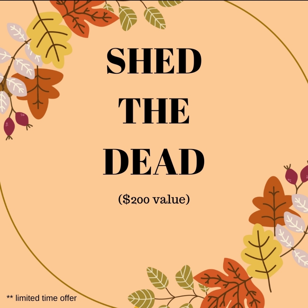 Shed The Dead