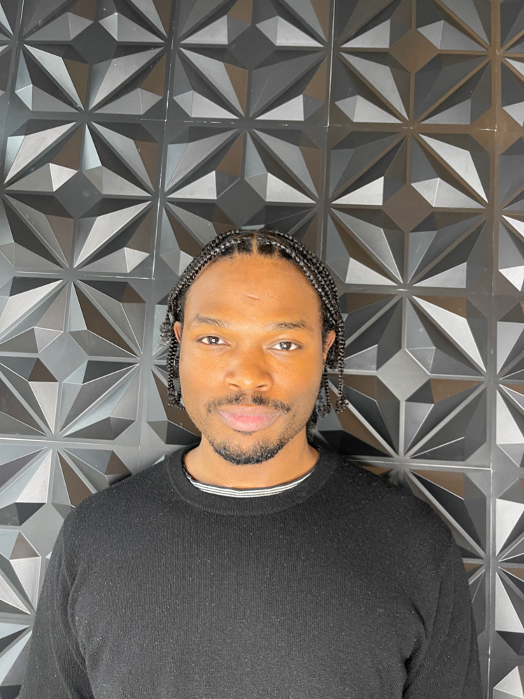 Mens Braids / Twists