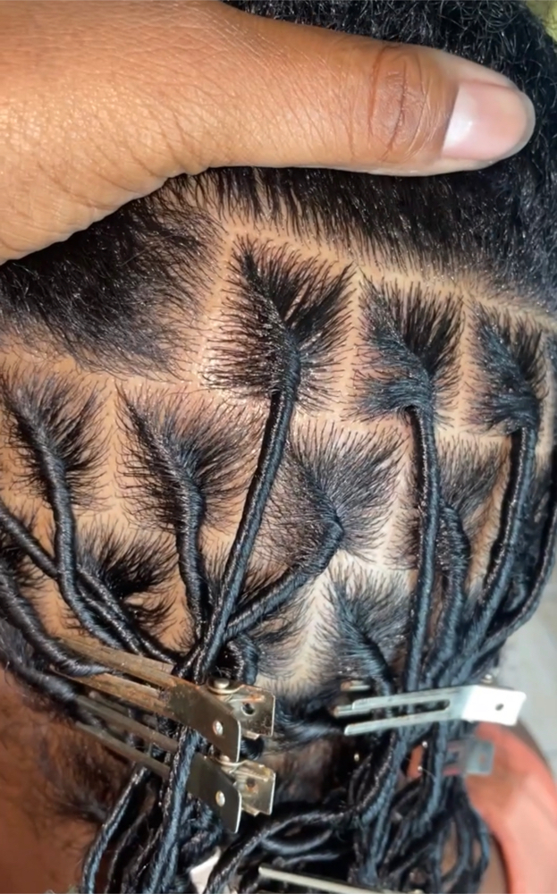 Coil Starter Locs