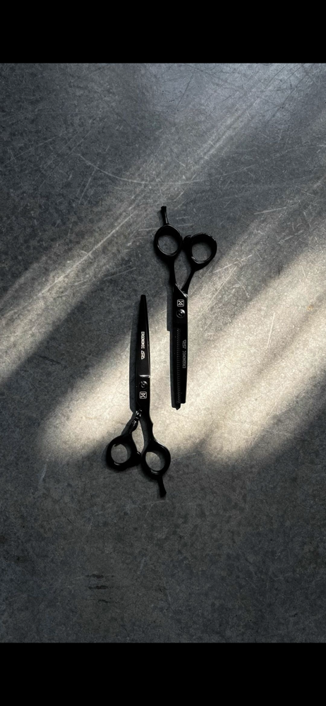 haircut w/ service at T & S Studio in Rocklin, CA