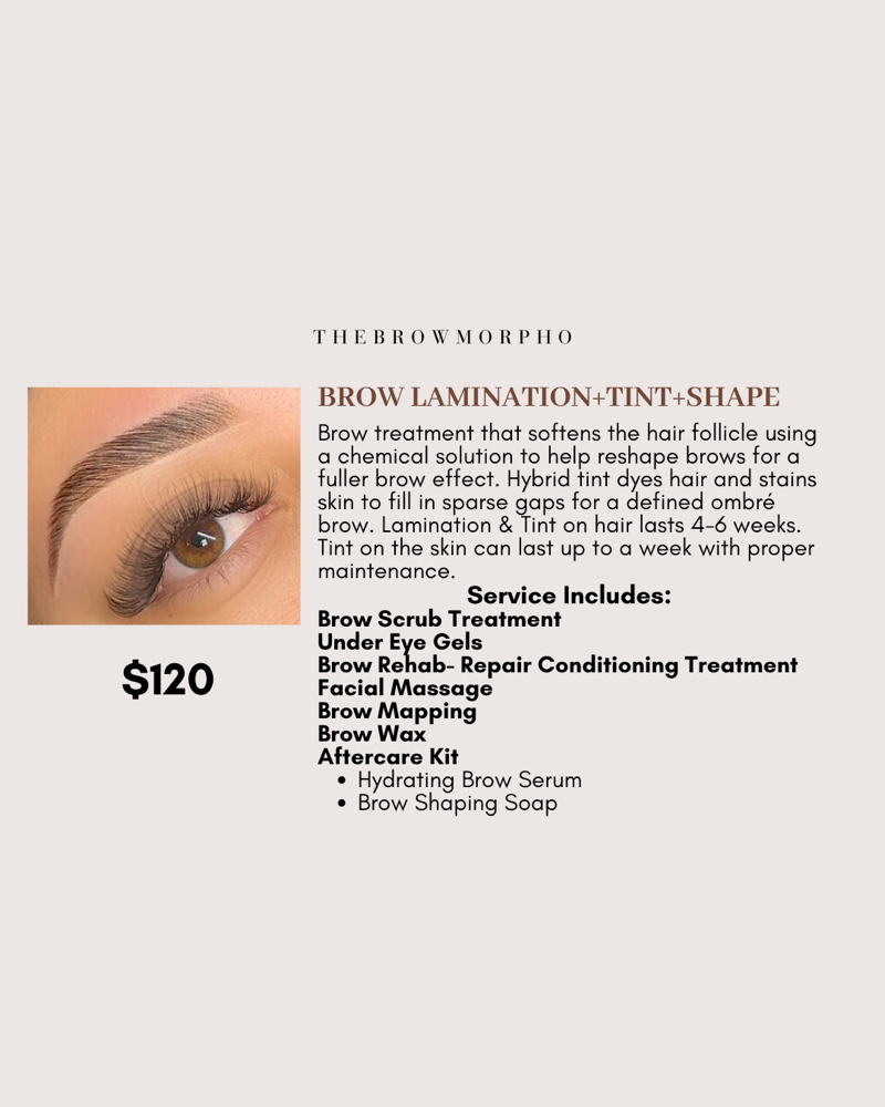 Brow Lamination+Tint+Shape