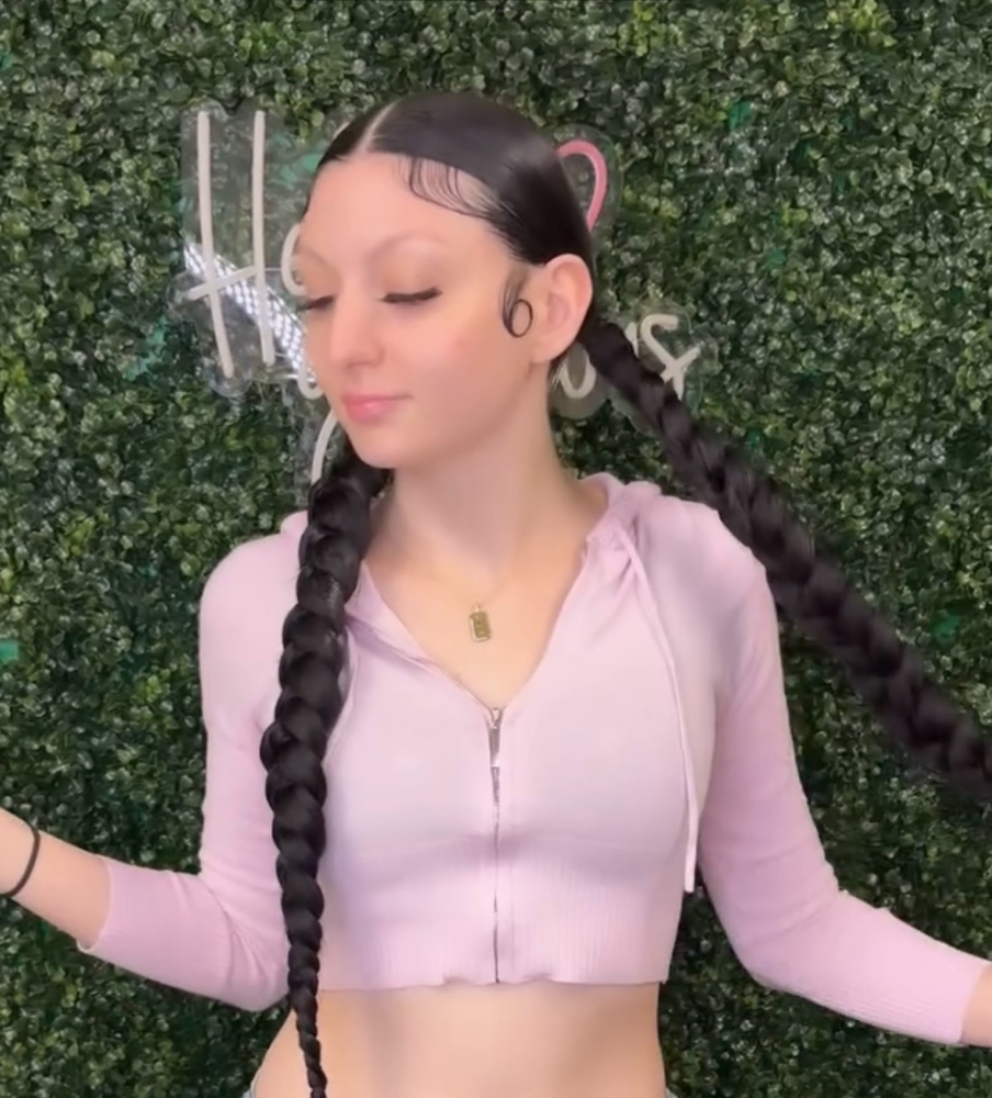 Two Braided Ponytails