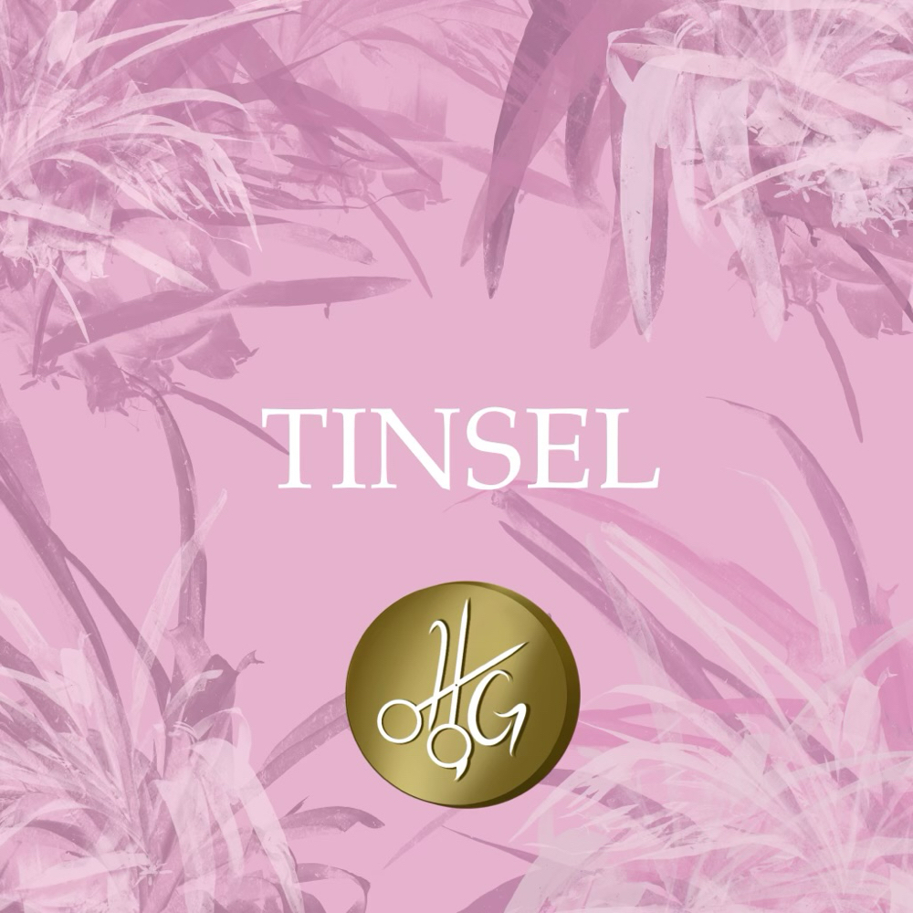 ✨TINSEL✨($5 Each One)