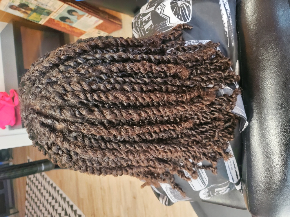 2 Strand Twist No Hair add Wash Inc