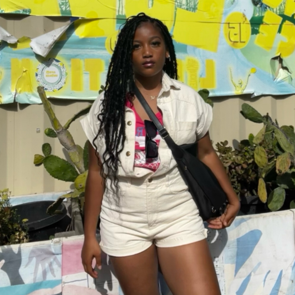 Faux Locs at kailibraidshair in Los Angeles, CA