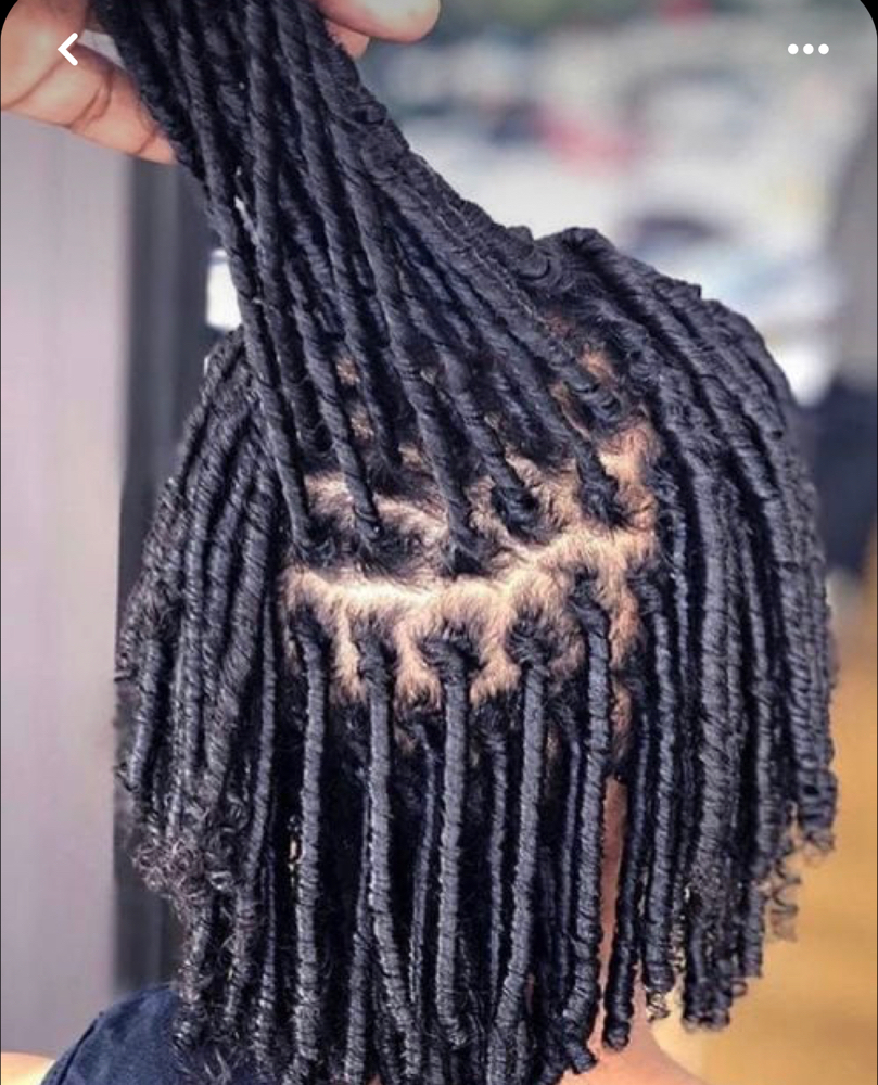 Starter Locs Coil starter locs