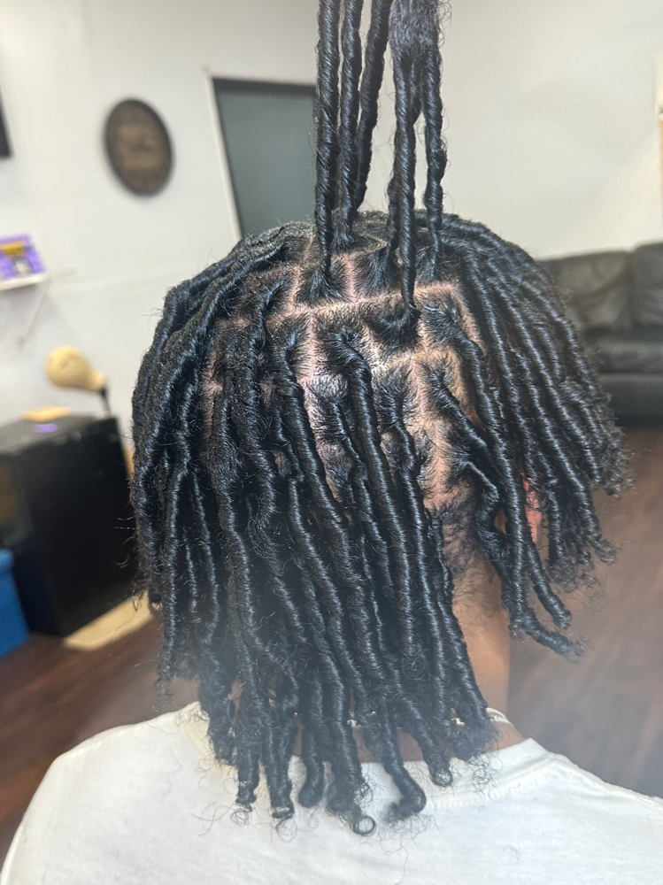 Starter Locs