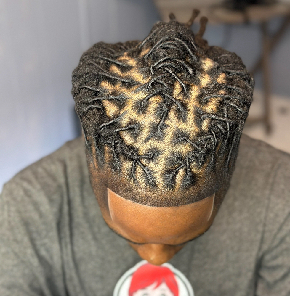 Loc Retwist & Style