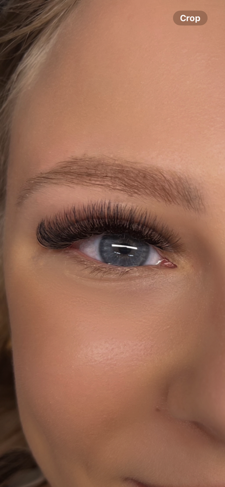 2 Week Volume Fill In at Plush Beauty Bar in Hopewell Junction, NY