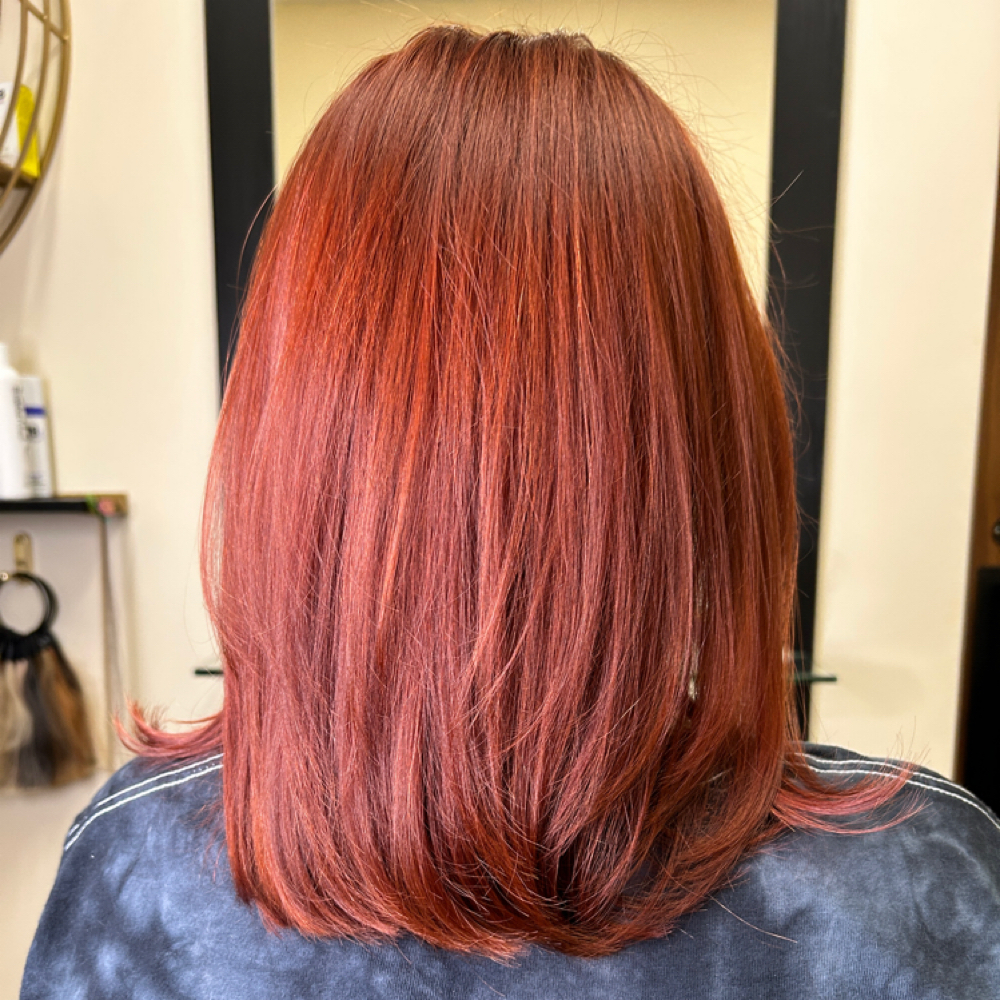 Standard Root Maintenance + Blowout at Mara Mara Salon Studio in North Wales, PA