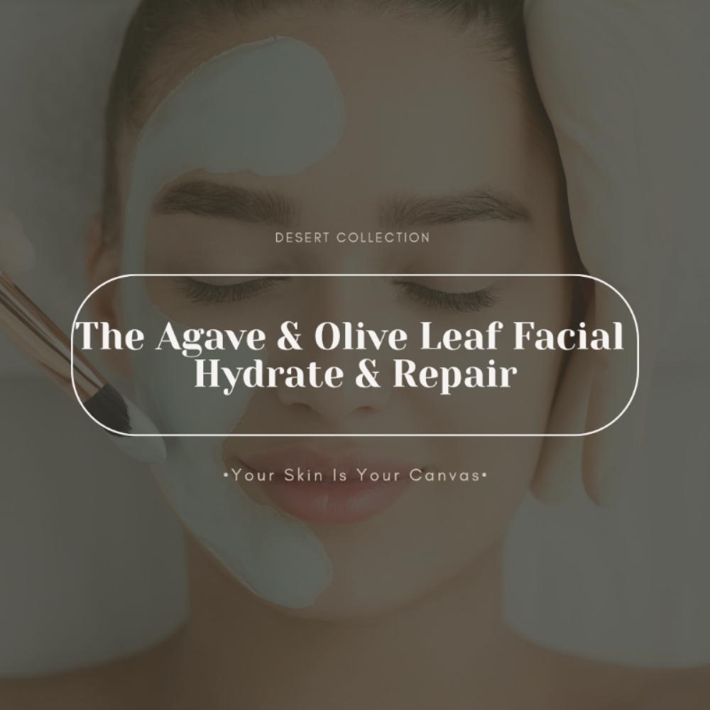 The Agave & Olive Leaf Facial at Face Palette Aesthetics in Franklin, WI