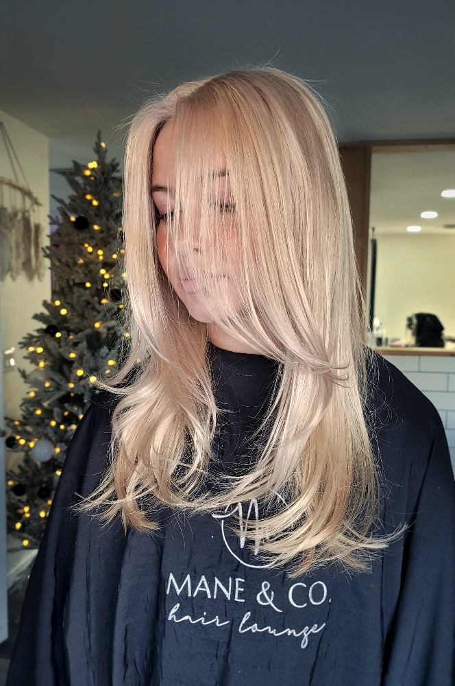 Wash, Haircut, & Blowdry