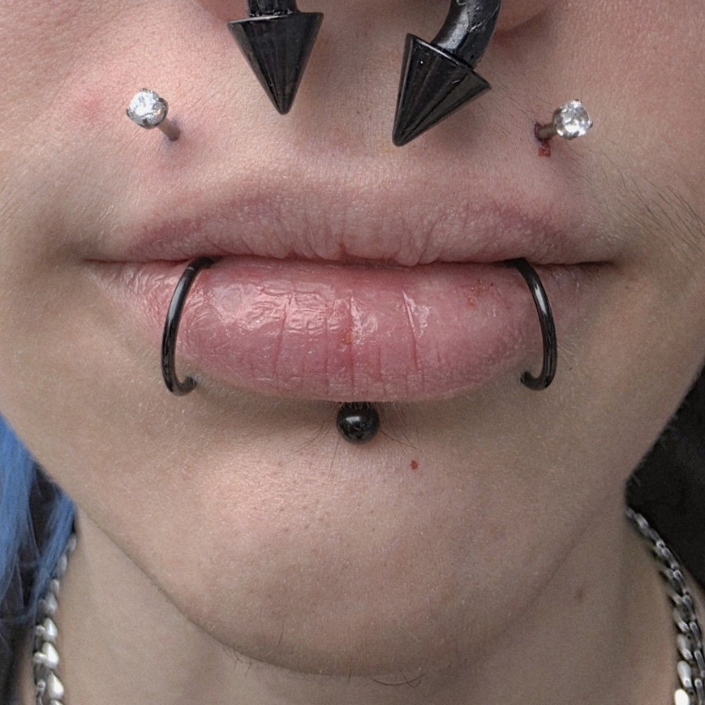 Lip (Upper) at The Skin Lounge in MARQUETTE, MI