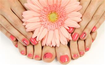 Summer Glow Up Acrylic Set