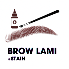 Brow•Lami+Sculpt+Stain