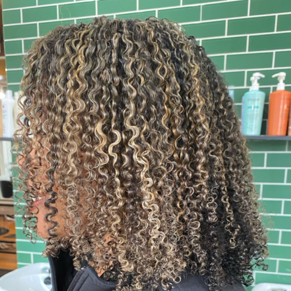 Root Touch + Partial Highlight at The Curl Pin in Alexandria, VA
