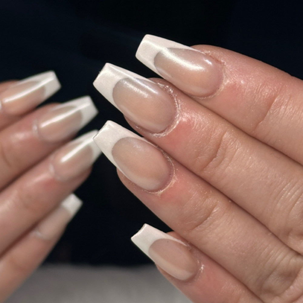 Frenchies at CWC Studio in Myrtle Beach, SC