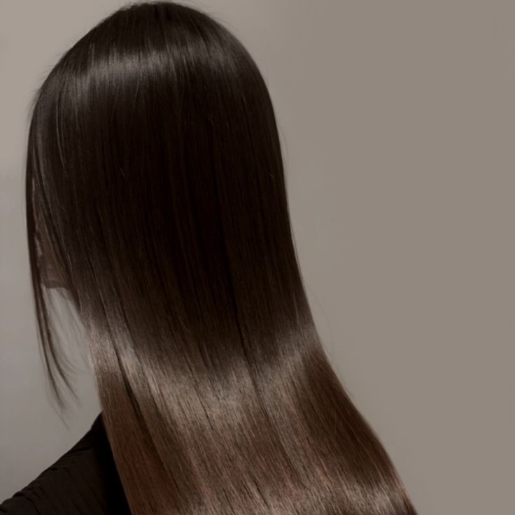 Hair Botox at Salon Hestia in Sherman Oaks, CA