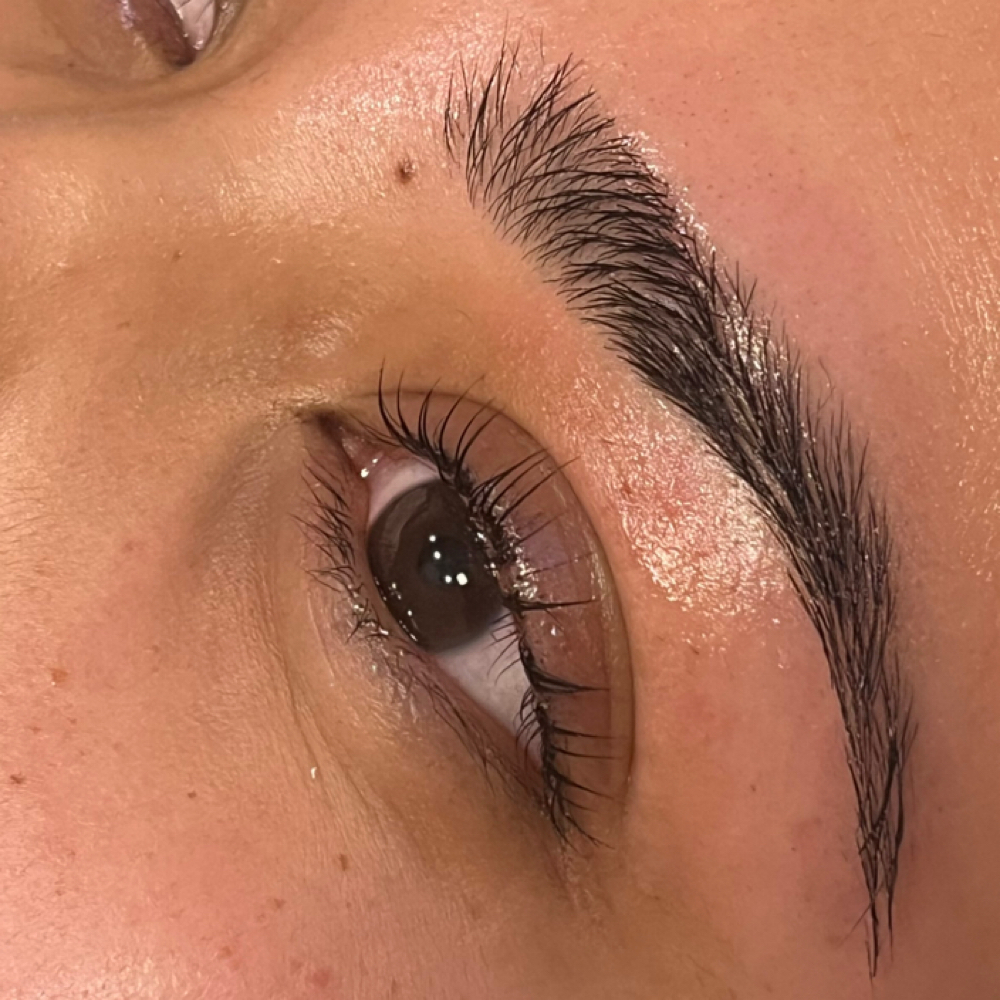 Eyebrow Wax + Mapping at Plum Esthetics in San Antonio, TX