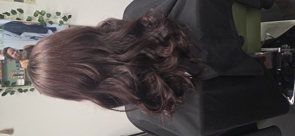 Ladies Cut And Style