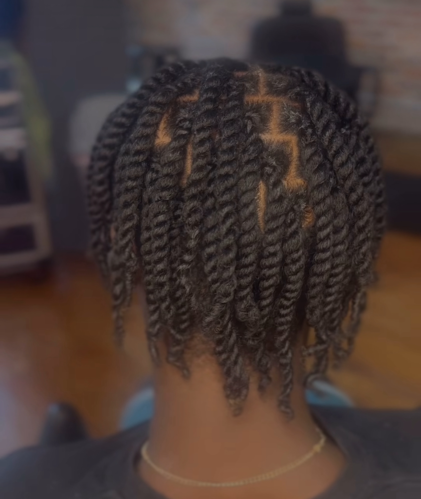 Natural Hair Twists (2 Strand)