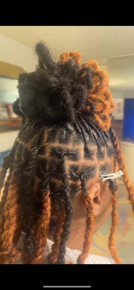 Loc Retwist