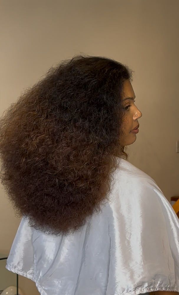 BLOW DRY + TRIM (EXISITING ONLY)
