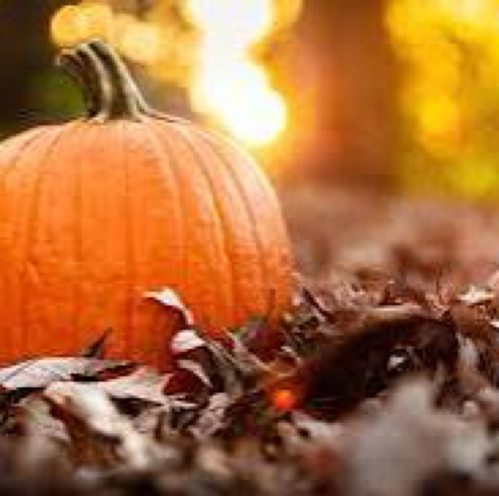🎃OCTOBER🎃 👻SHED THE DEAD PEEL👻 at Simply Skin clinical skin care in Westport, CT