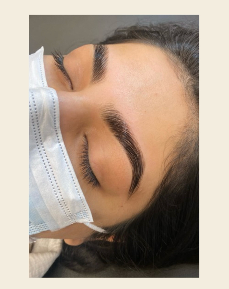 Brow Trifekta