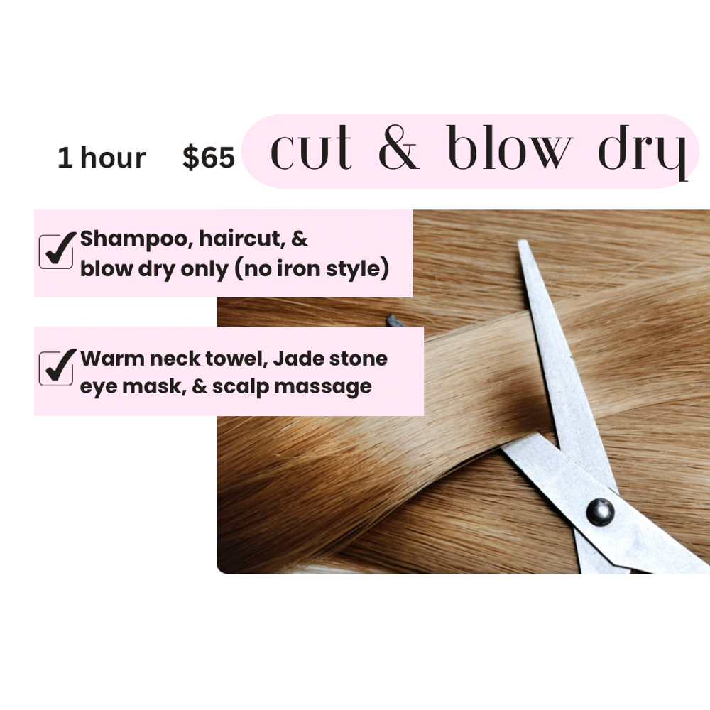 Cut & Blow Dry Only