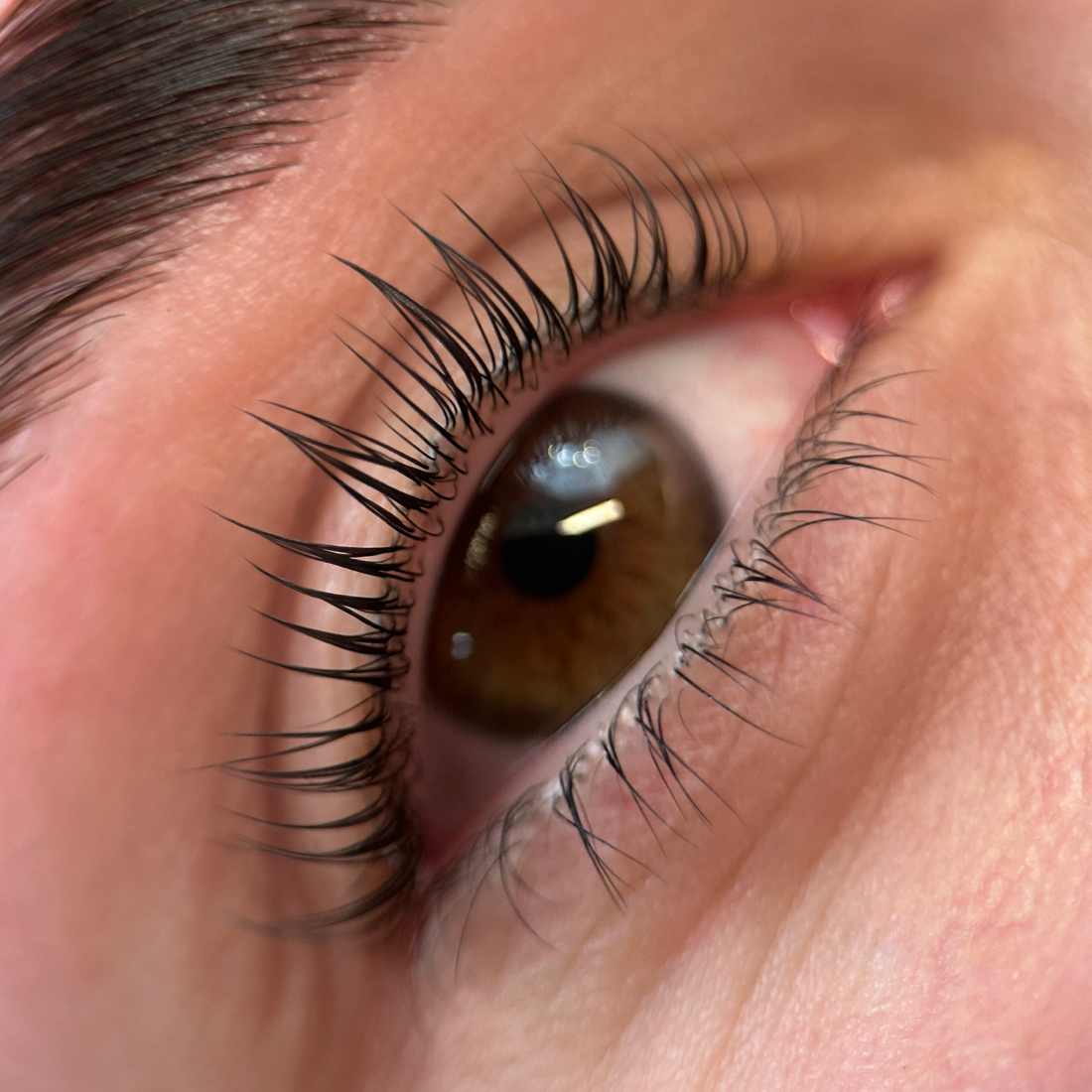 Lash Tint at Carly Artistry in Addison, TX