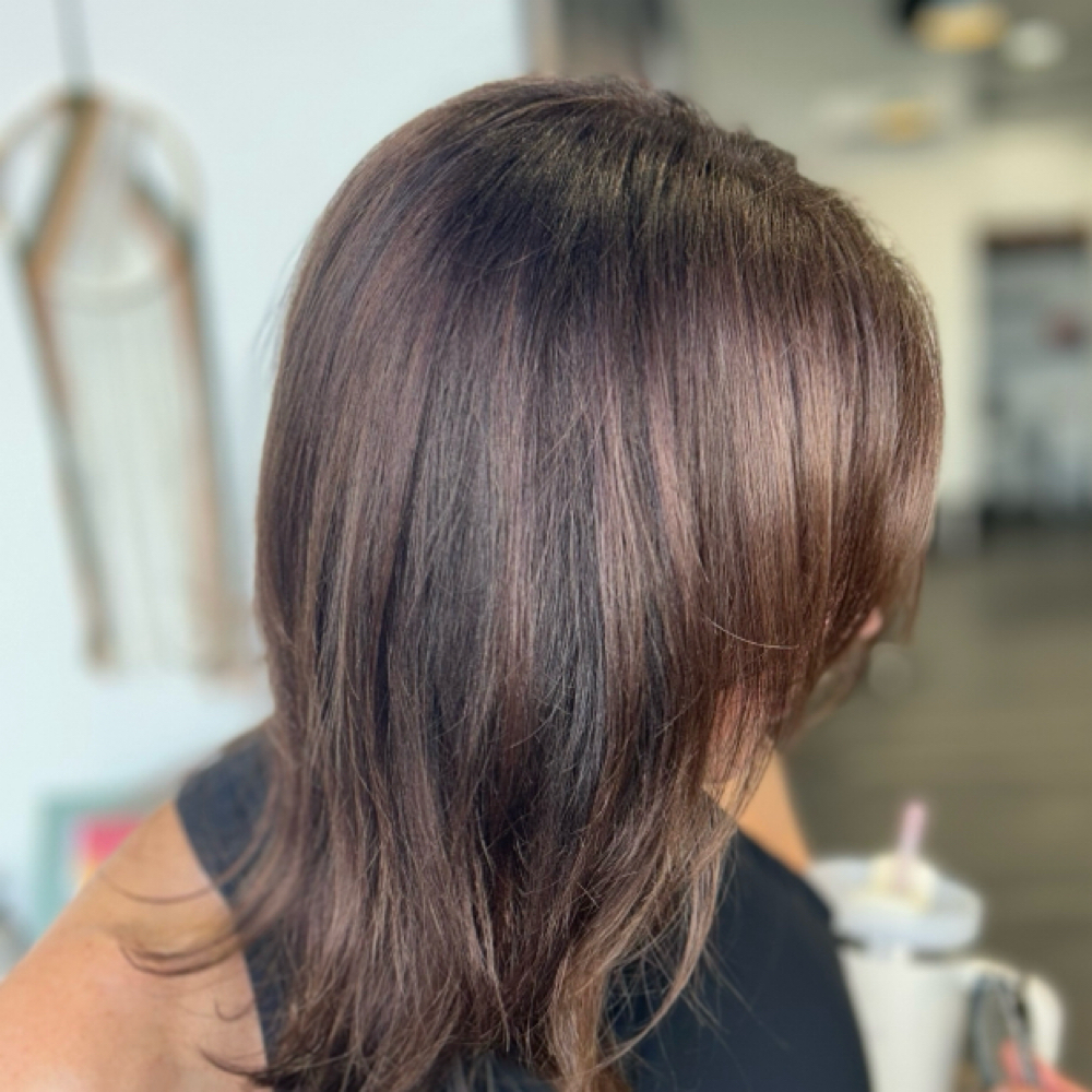 Basic Blow Dry/Style at Colorize Hair Studio in Gluckstadt, MS