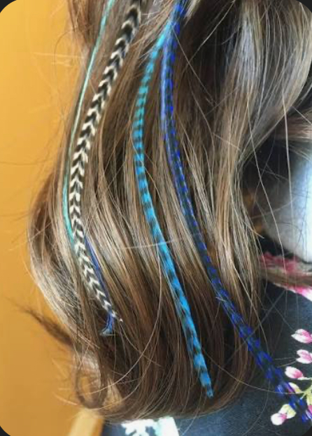 Feathers